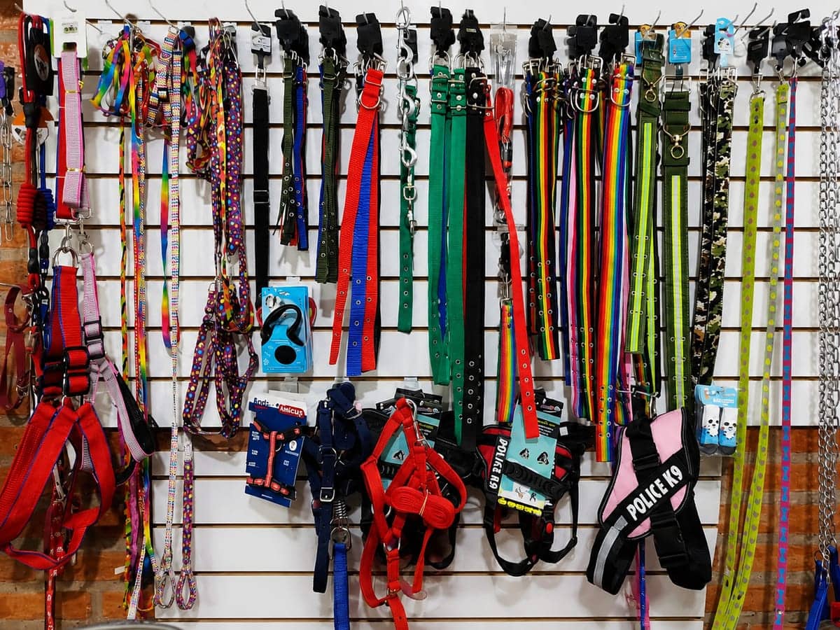 Alimentos balanceados y accesorios para perros y gatos en Pocito, San Juan